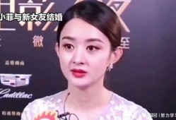 娱乐八卦吃瓜赵丽颖小说免费阅读,揭秘明星背后的故事，免费畅读