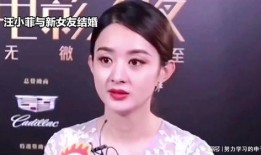 娱乐八卦吃瓜赵丽颖小说免费阅读,揭秘明星背后的故事，免费畅读