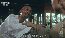 太极宗师电影在线观看,传承与对决，在线观看巅峰对决