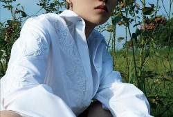 娱乐大爆料 刘雨昕小说,刘雨昕小说中的璀璨星途