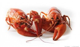 龙虾最新爆料新闻报道,揭秘幕后真相，震惊业界！