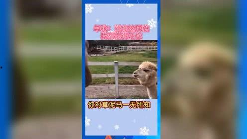 娱乐吃瓜呱