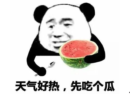 吃瓜表情包图片搞笑,吃瓜表情包里的欢乐盛宴